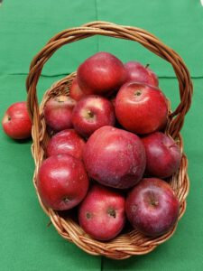 rote Äpfel in Korb