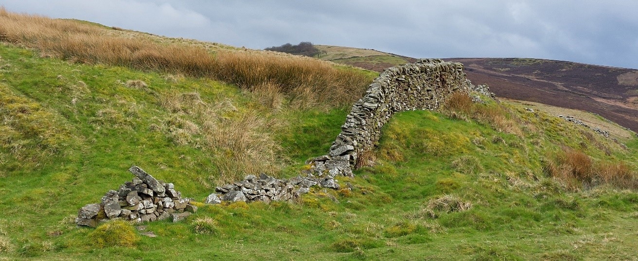 Steinmauer Goyt Valley England