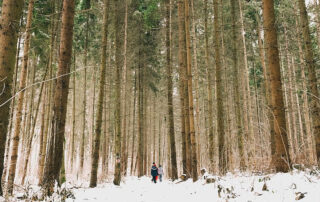 Kinder Wald Abenteuer Schnee