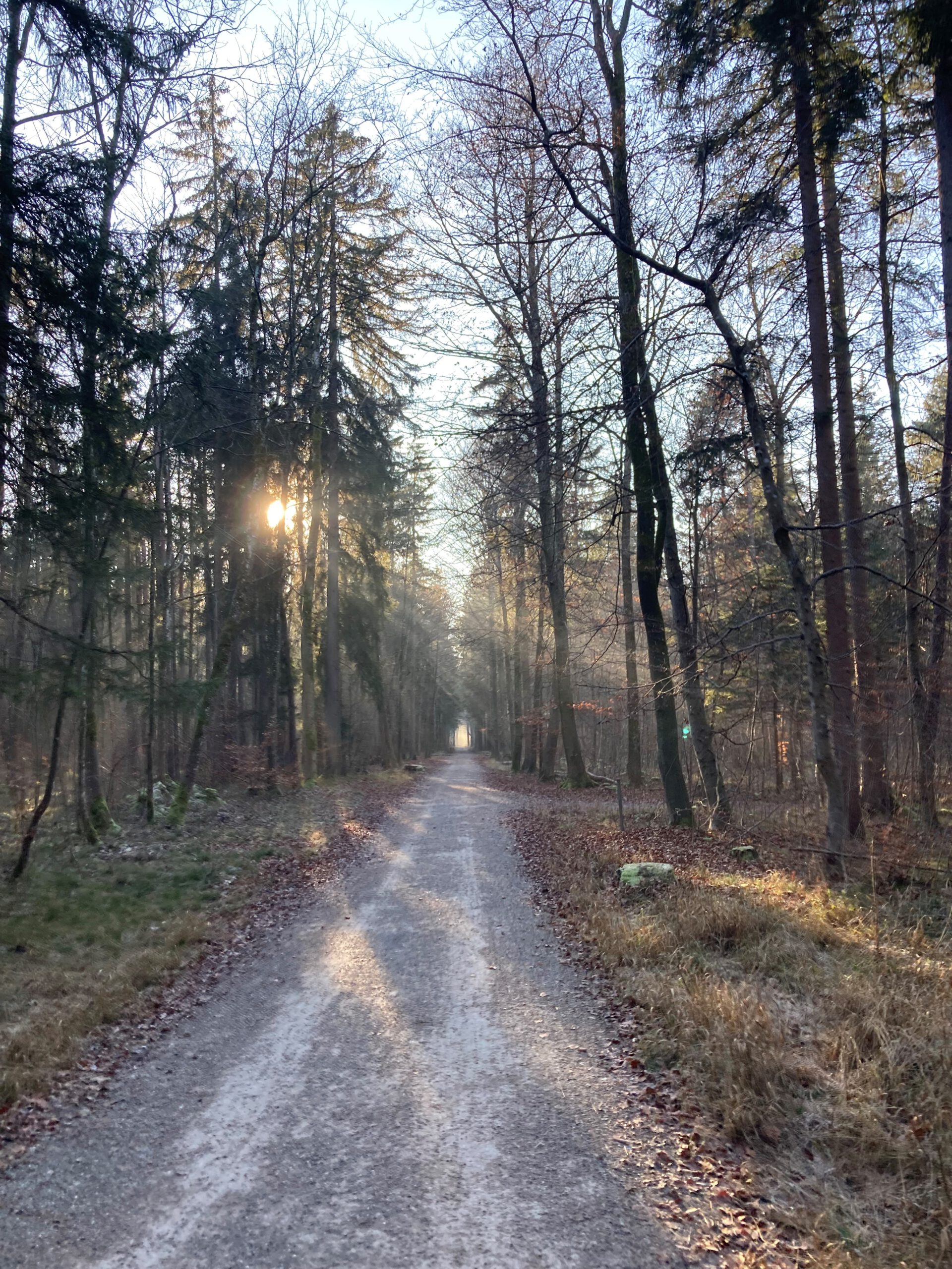 Waldweg