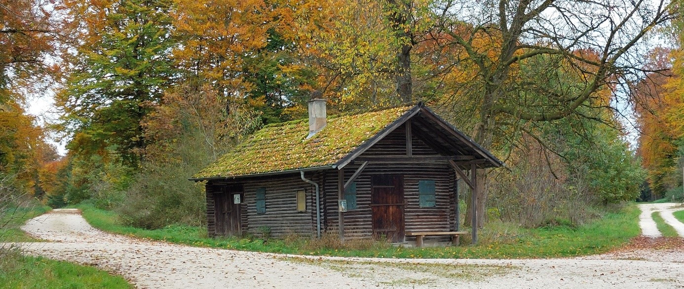 Hütte Haus mit bemoostem Dach im Wald mit Wege