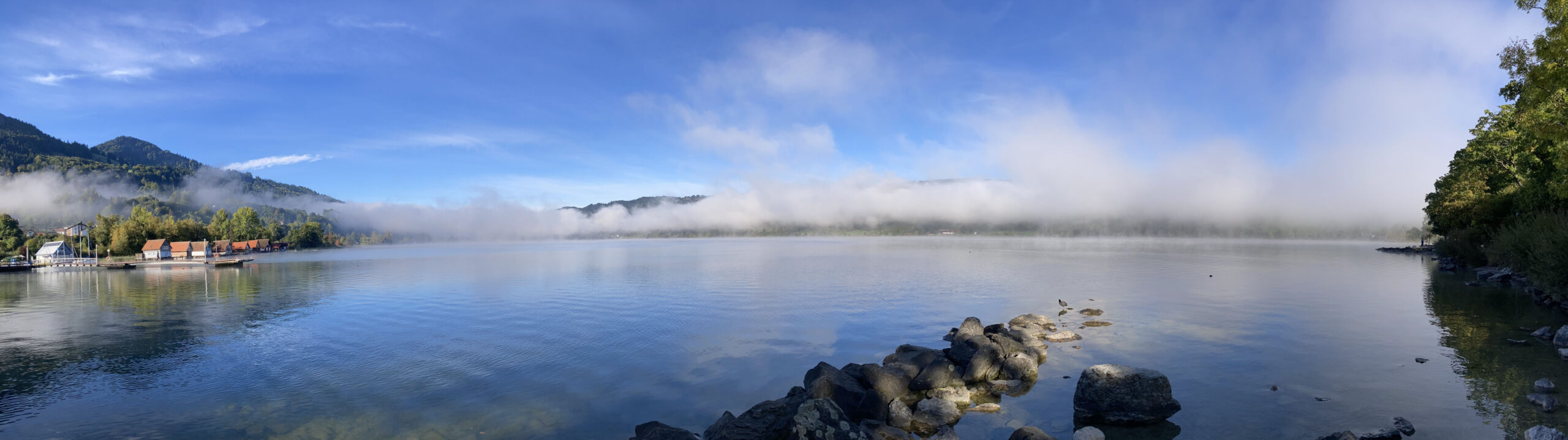 Alpsee im Nebel