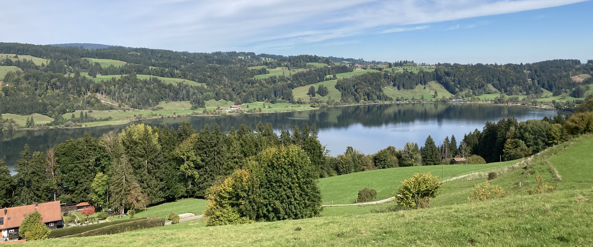 Alpsee im Sonnenschein