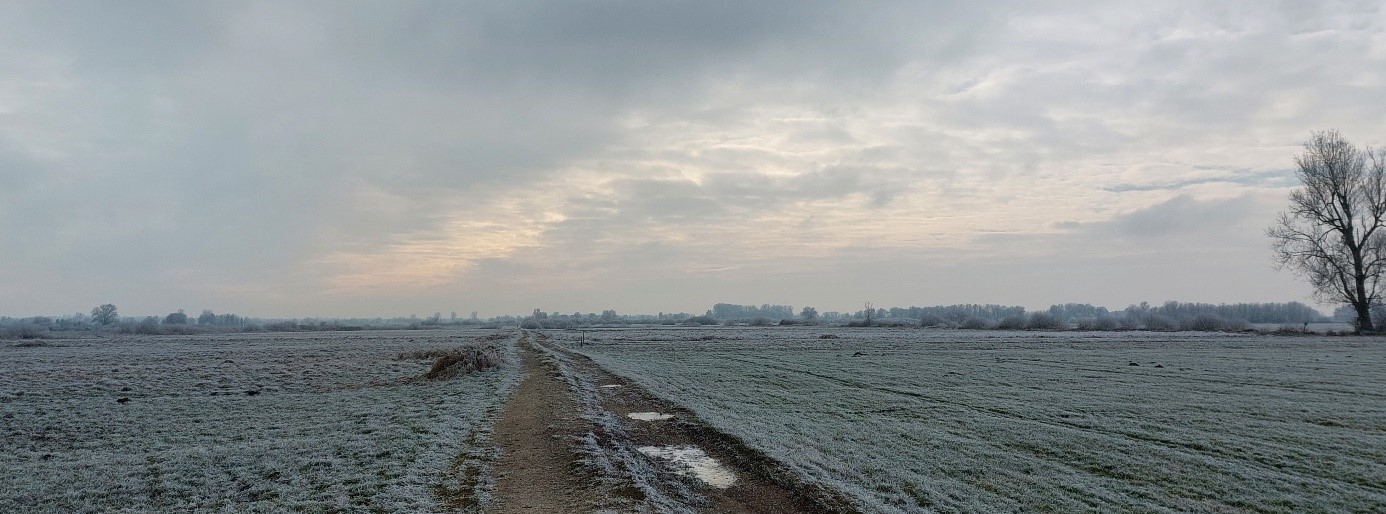 Feldweg mit gefrorenen Pfützen und Raureif