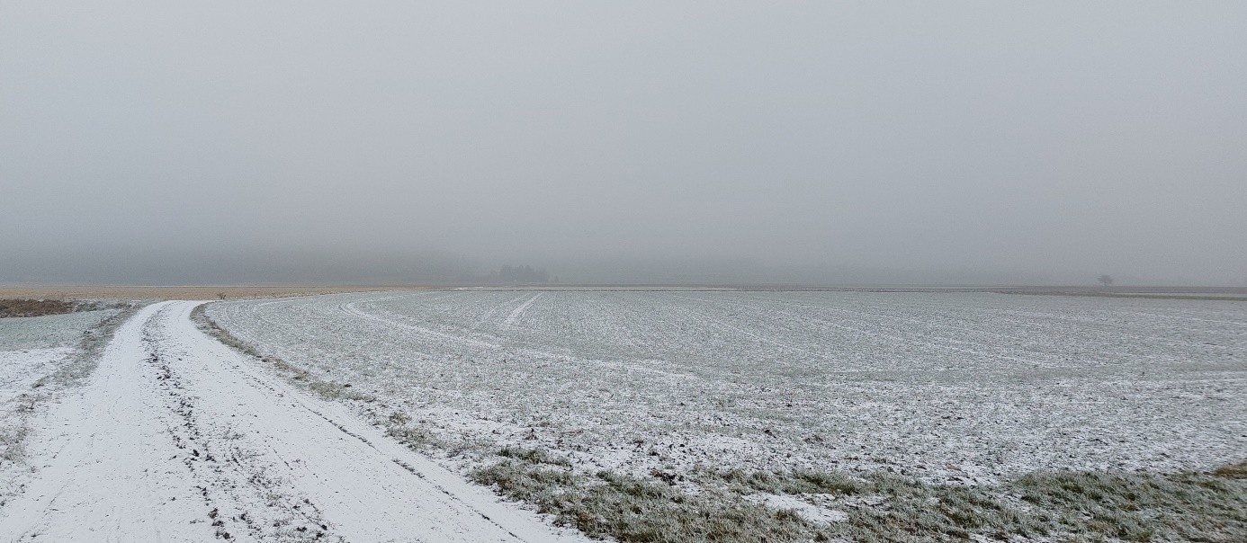 Feld mit Nebel Schnee