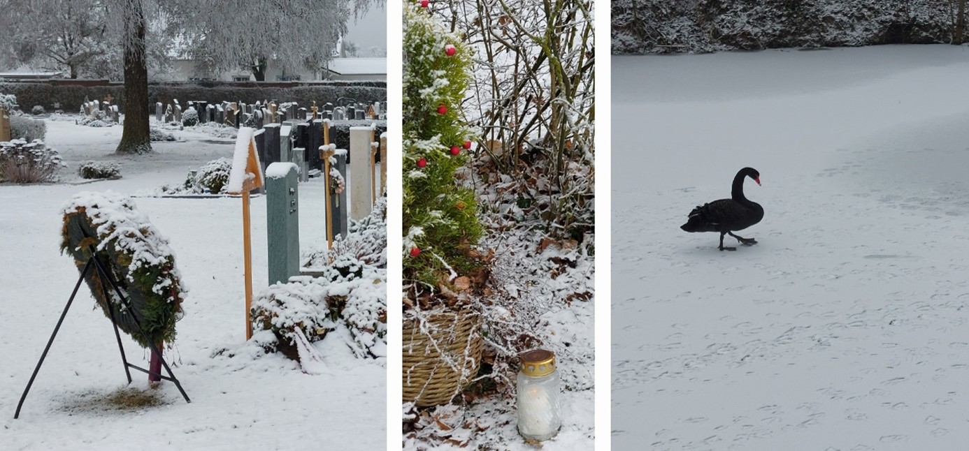 3er Collage Friedhof mit Schnee - Kerze und schwarzer Schwan
