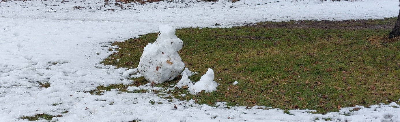 Wiese Schneetier Hase