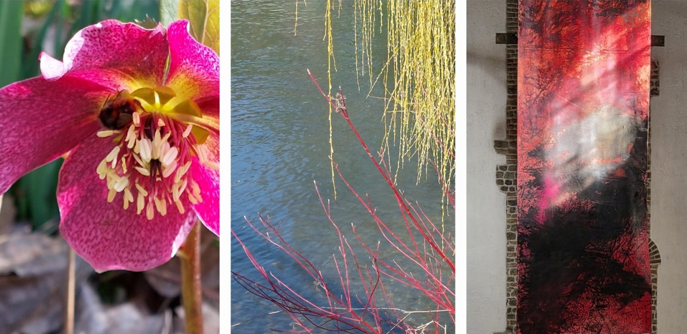 Collage Lenzrose Trauerweide Bild Kreuz St. Stephan privat