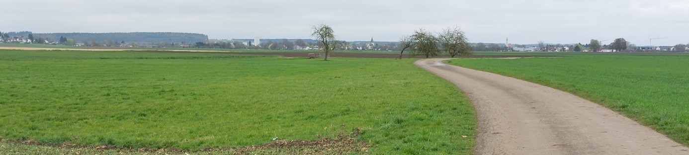 Feld mit Weg