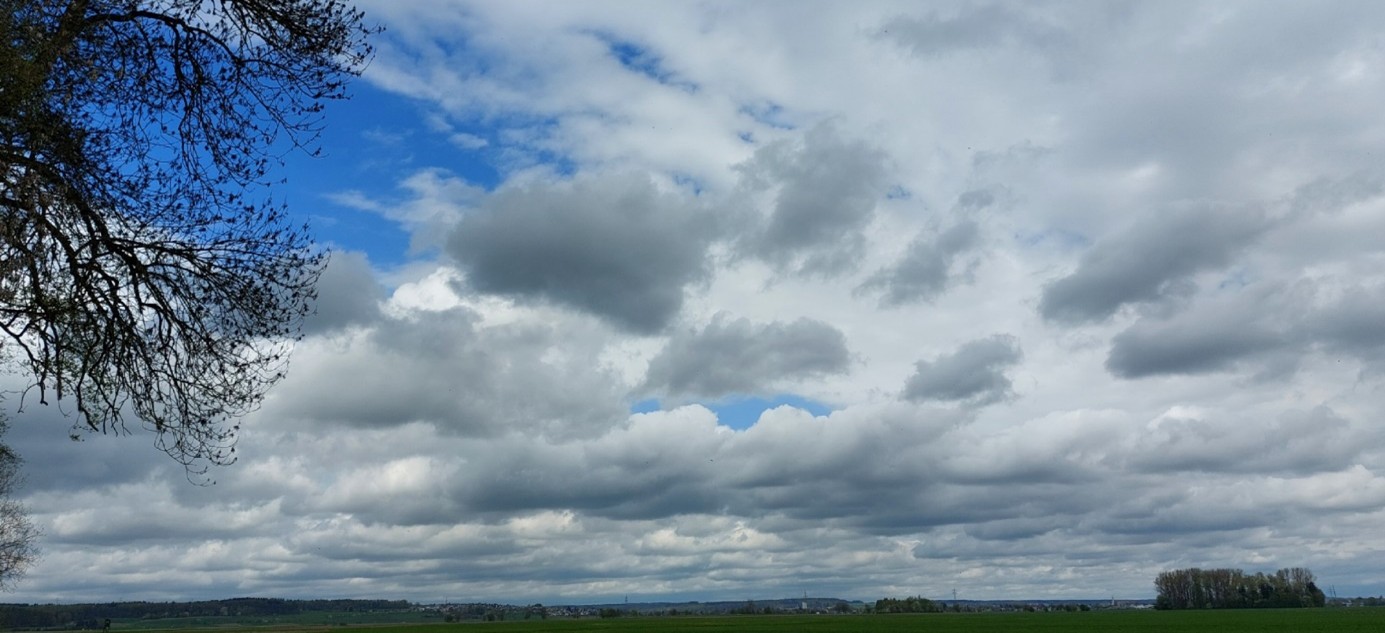 Feld mit bewölktem Himmel