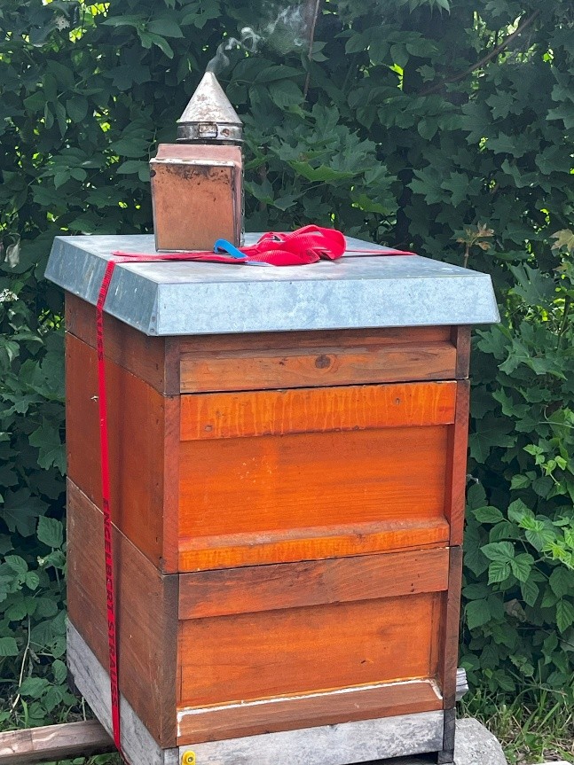 Bienenbeute mit Smoker