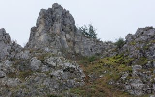 Berg mit Moos