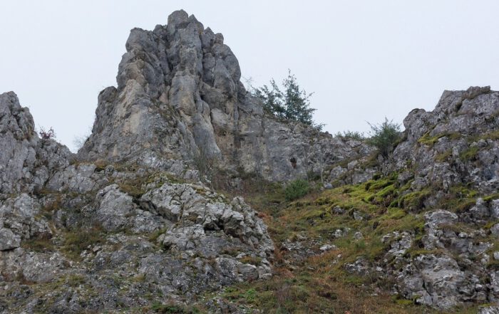 Berg mit Moos
