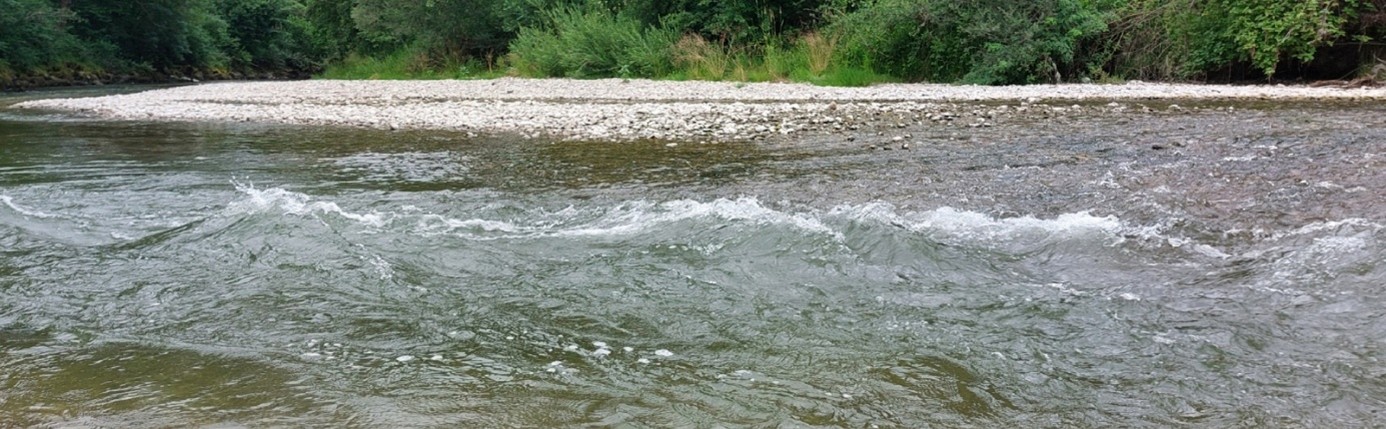 Flußlandschaft Ammer