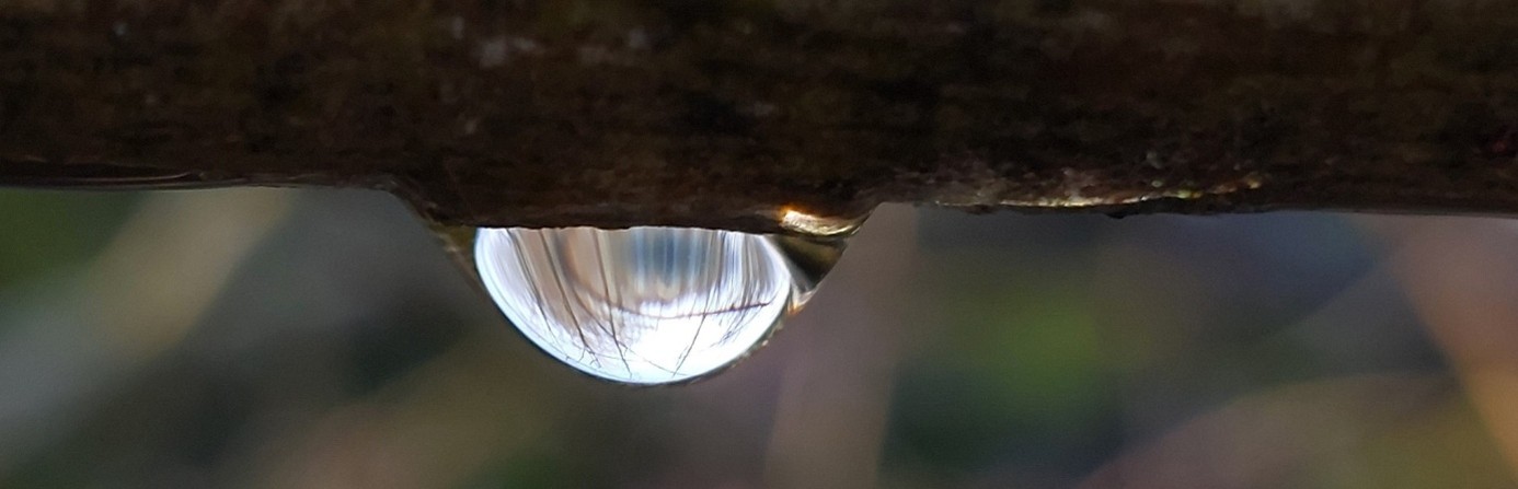 Nest mit Wassertropfen