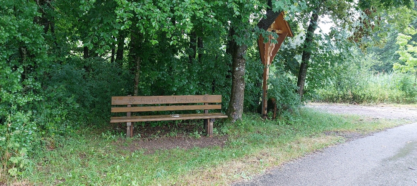 Sitzbank im Wald