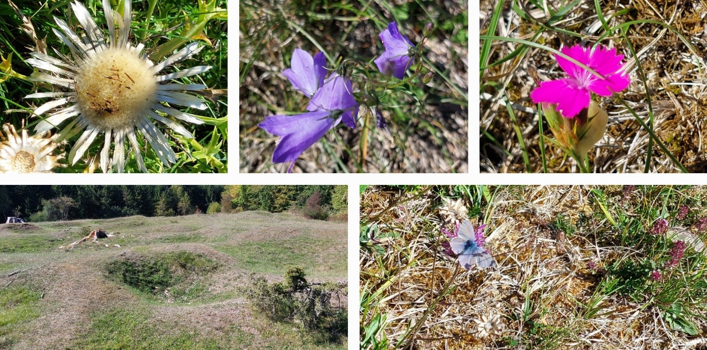 Blumencollage