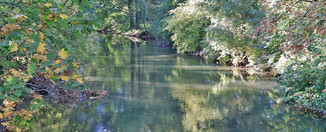 Fluss mit Büsche rechts und links