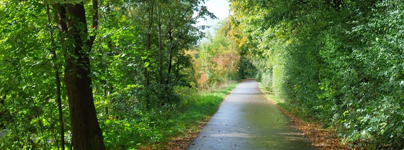 Schöner Weg im Herbst mit viel Natur